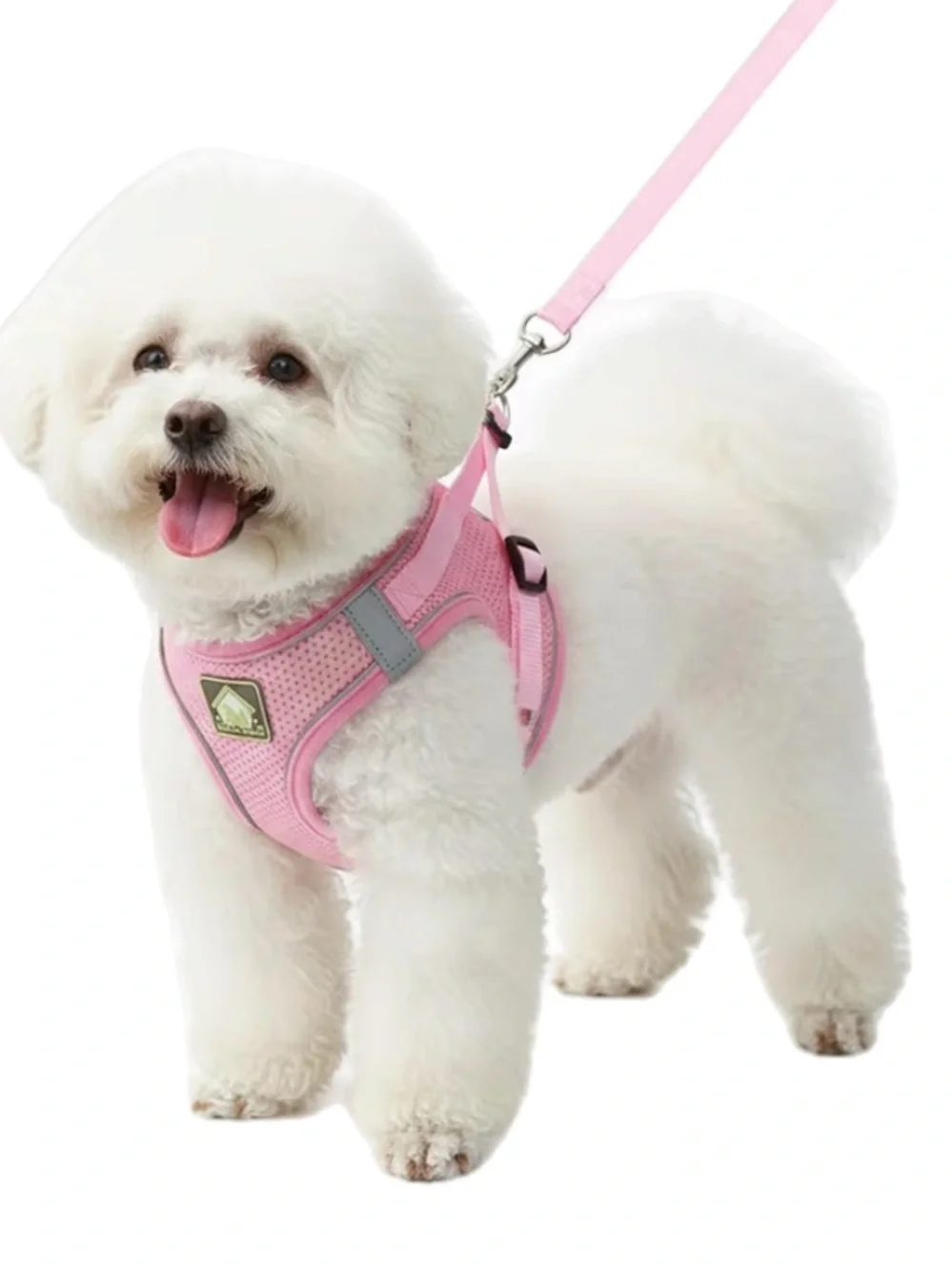 Dog Harness w/ Leash Set, No Pull Adjustable Harness/Thickened Padded. Sz med